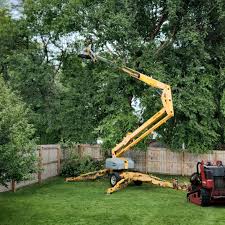 Mulching Services in Lake Don Pedro, CA
