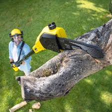 Lawn Watering Services in Lake Don Pedro, CA
